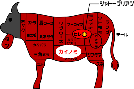 牛肉部位【カイノミ】｜赤身と脂のうま味のバランスが最高！