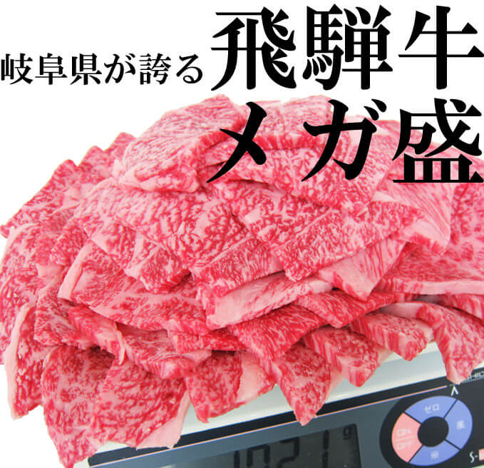 飛騨牛焼肉通販メガ盛り