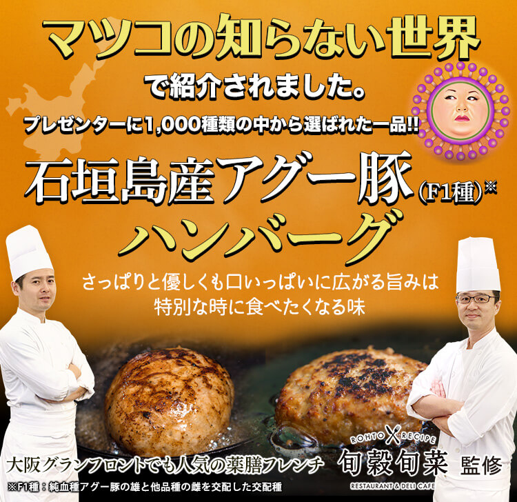 南ぬ豚100%ハンバーグ【やえやまファーム】