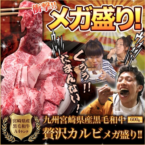 宮崎牛通販焼肉セット