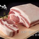 白金豚｜ギフト、しゃぶしゃぶ、ハンバーグ、お取り寄せを価格比較!?お得は？