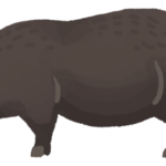 アグー豚｜通販ギフト｜しゃぶしゃぶ、ハンバーグ、ハムなど価格比較おすすめは？