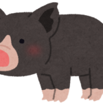 【2019】黒豚｜通販・ギフト｜しゃぶしゃぶ、とんかつ、ハンバーグなど価格比較