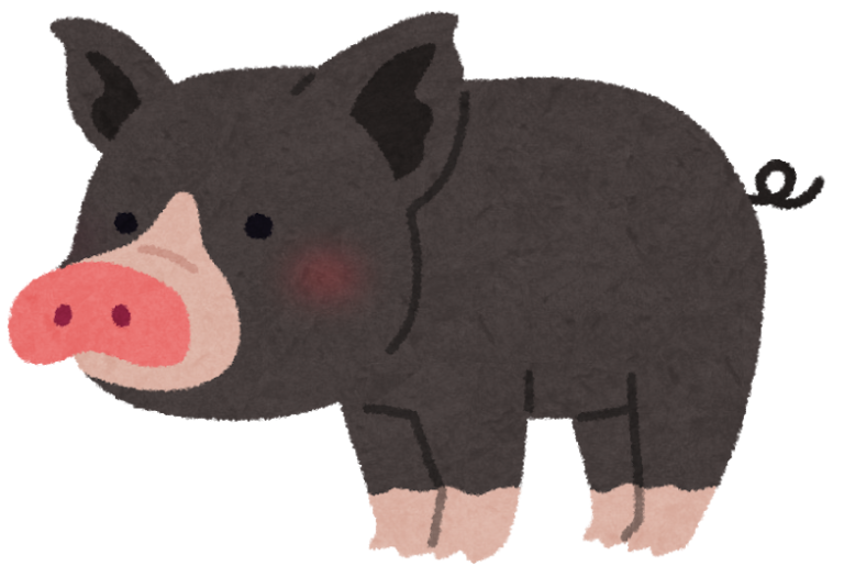 【2019】黒豚｜通販・ギフト｜しゃぶしゃぶ、とんかつ、ハンバーグなど価格比較